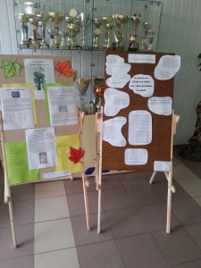 20140926_125318 (Copy)