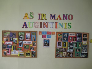 IMG_3165 (Copy)