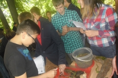 Uczniowie z Niemieża na X Międzynarodowym Turnieju Ekologicznym „Nadzieja Ziemi“ w Węgorzewie